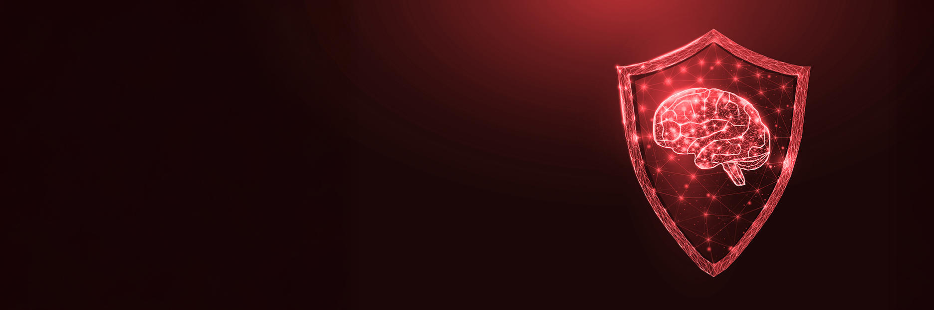 Homepage ICOPAD 2026